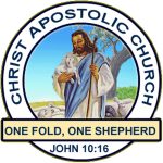 church led screen cac